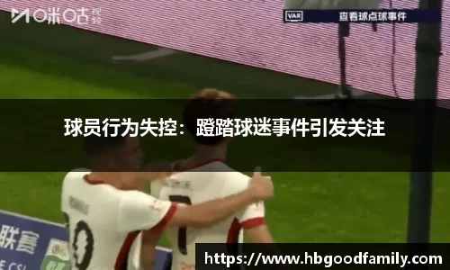 k体育平台